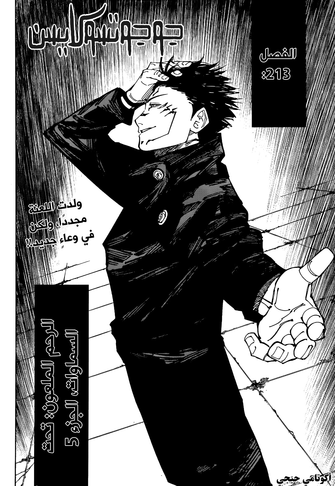 Jujutsu Kaisen: Chapter 213 - Page 3