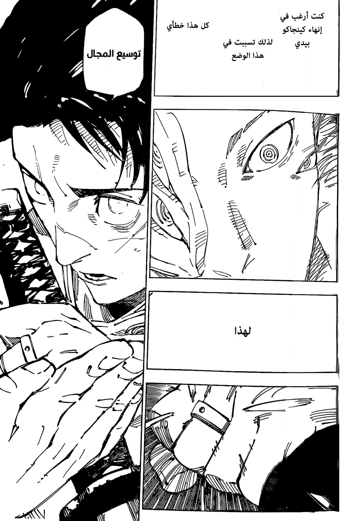 Jujutsu Kaisen: Chapter 249 - Page 13