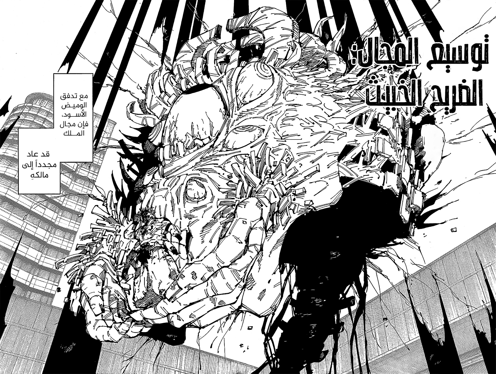 Jujutsu Kaisen: Chapter 258 - Page 3