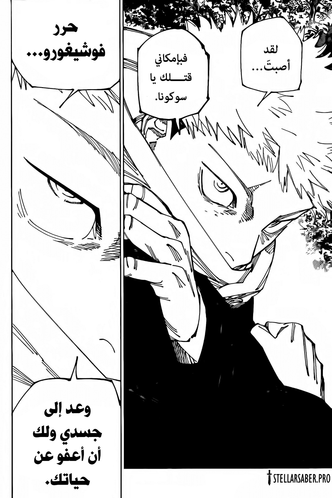 Jujutsu Kaisen: Chapter 265 - Page 19