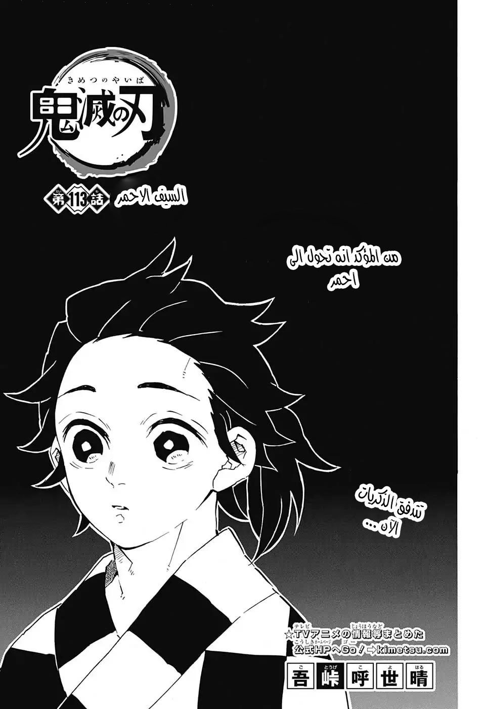 Kimetsu no Yaiba: Chapter 113 - Page 2
