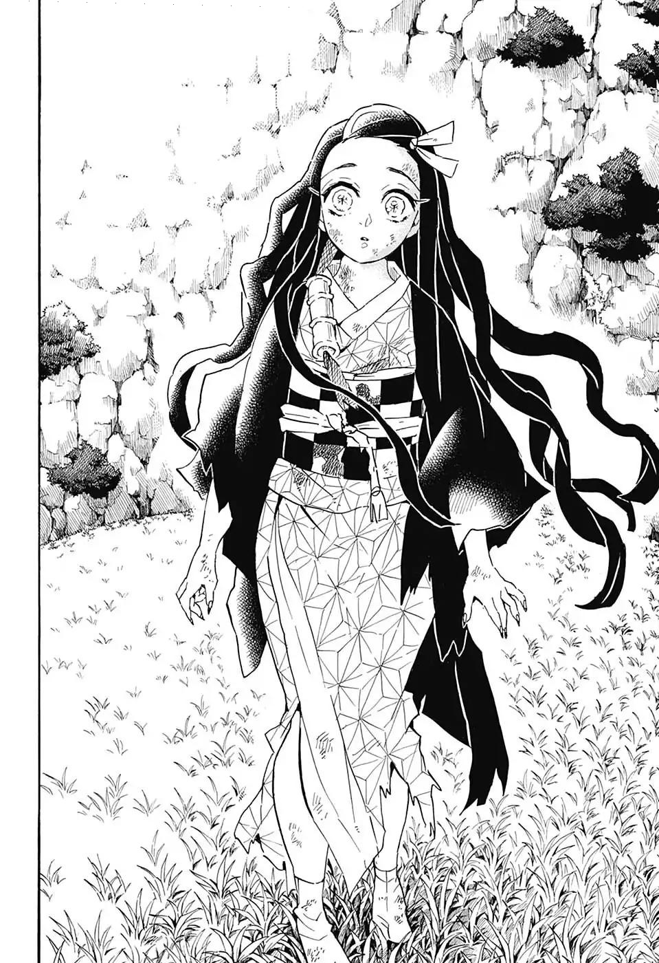 Kimetsu no Yaiba: Chapter 126 - Page 17