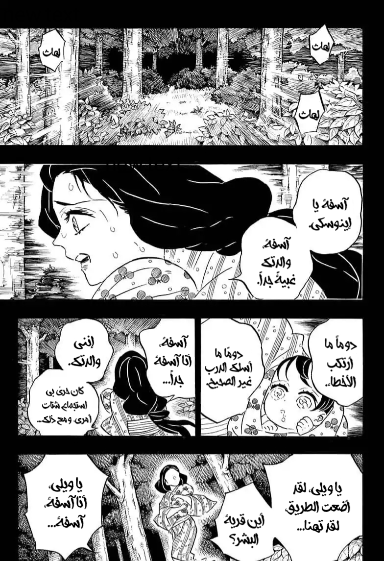 Kimetsu no Yaiba: Chapter 160 - Page 13