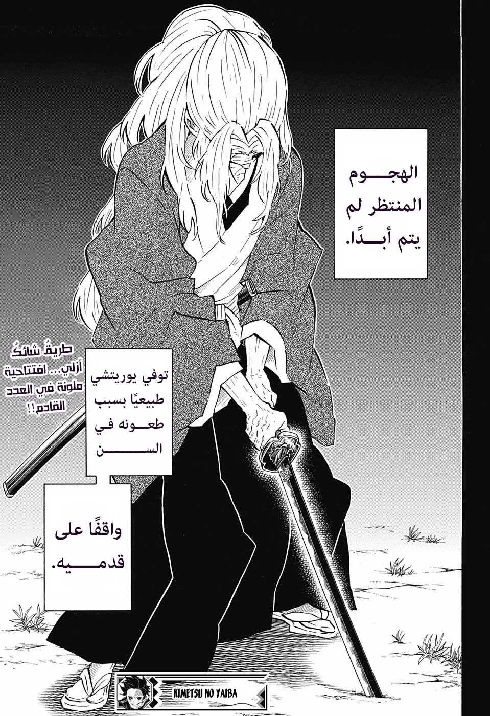 Kimetsu no Yaiba: Chapter 174 - Page 20