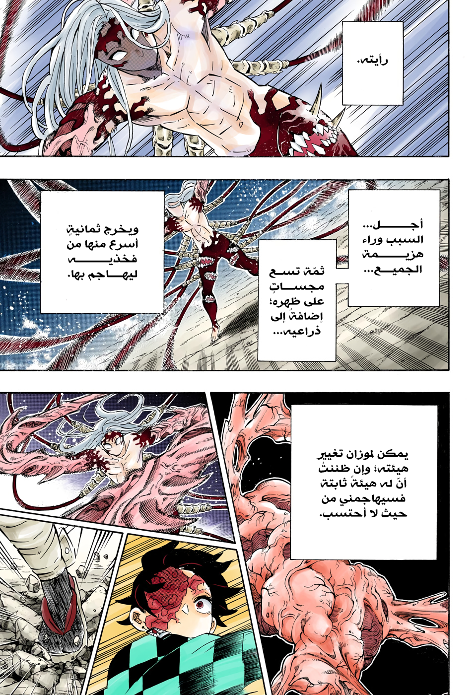 Kimetsu no Yaiba: Chapter 192 - Page 18