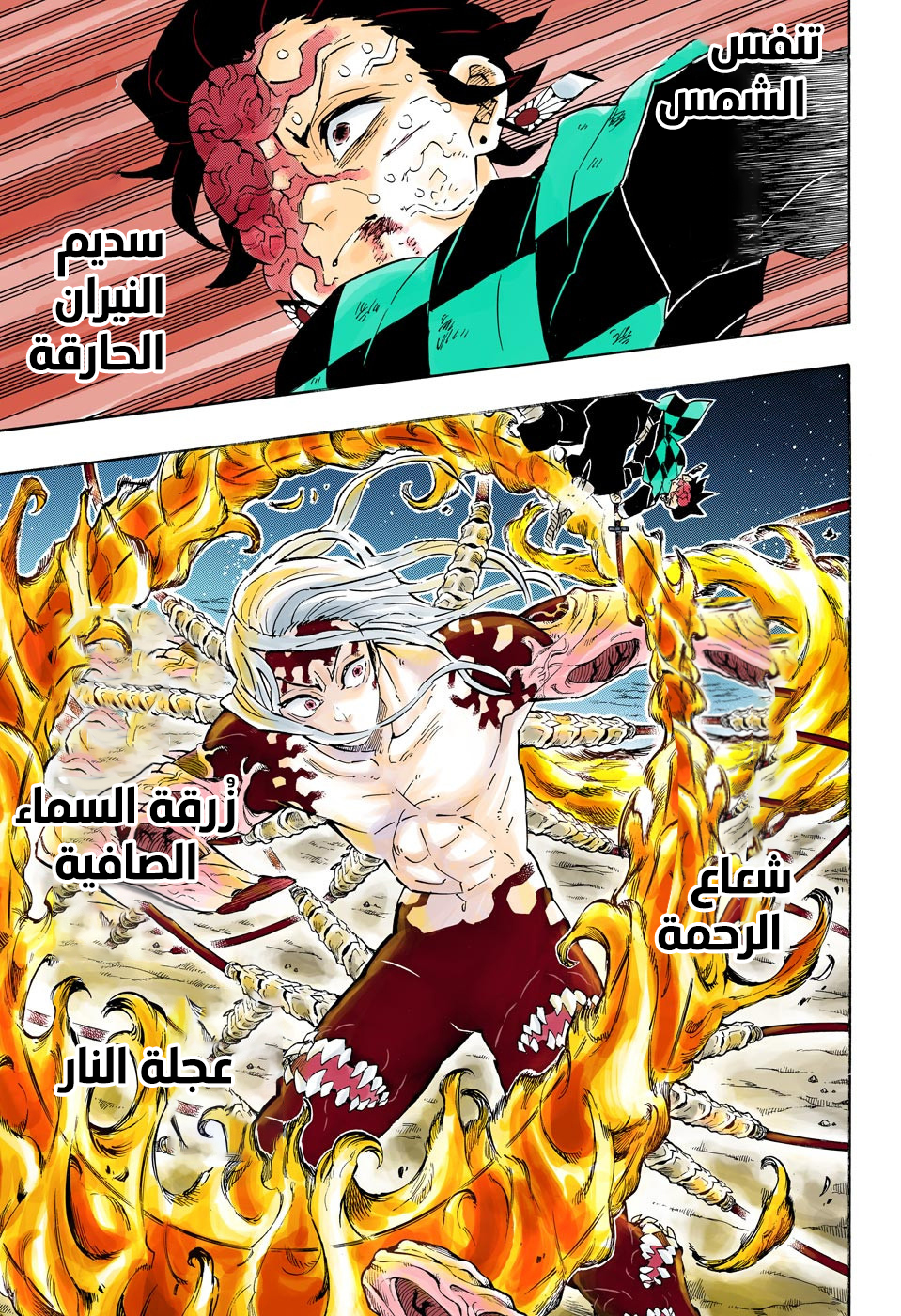 Kimetsu no Yaiba: Chapter 193 - Page 20