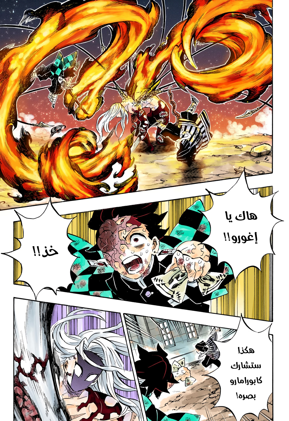 Kimetsu no Yaiba: Chapter 195 - Page 13