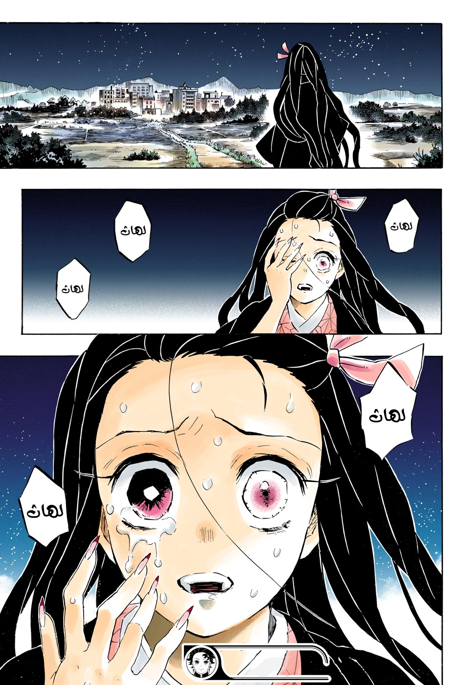 Kimetsu no Yaiba: Chapter 195 - Page 19