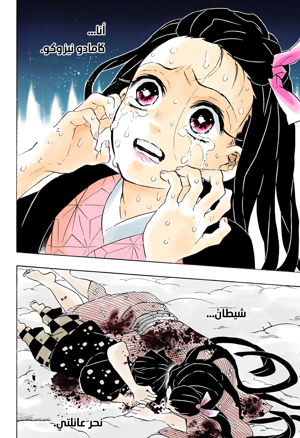Kimetsu no Yaiba: Chapter 196 - Page 13