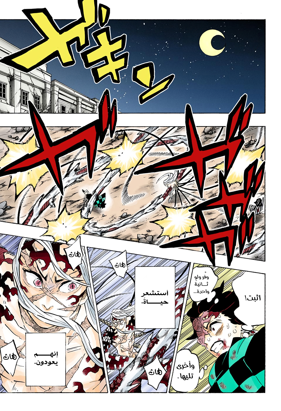 Kimetsu no Yaiba: Chapter 196 - Page 14