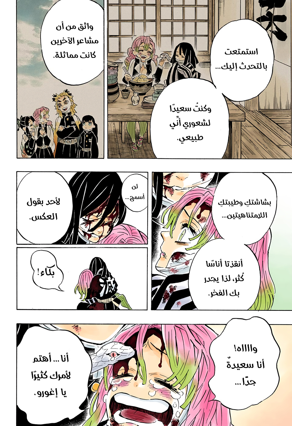 Kimetsu no Yaiba: Chapter 200 - Page 13