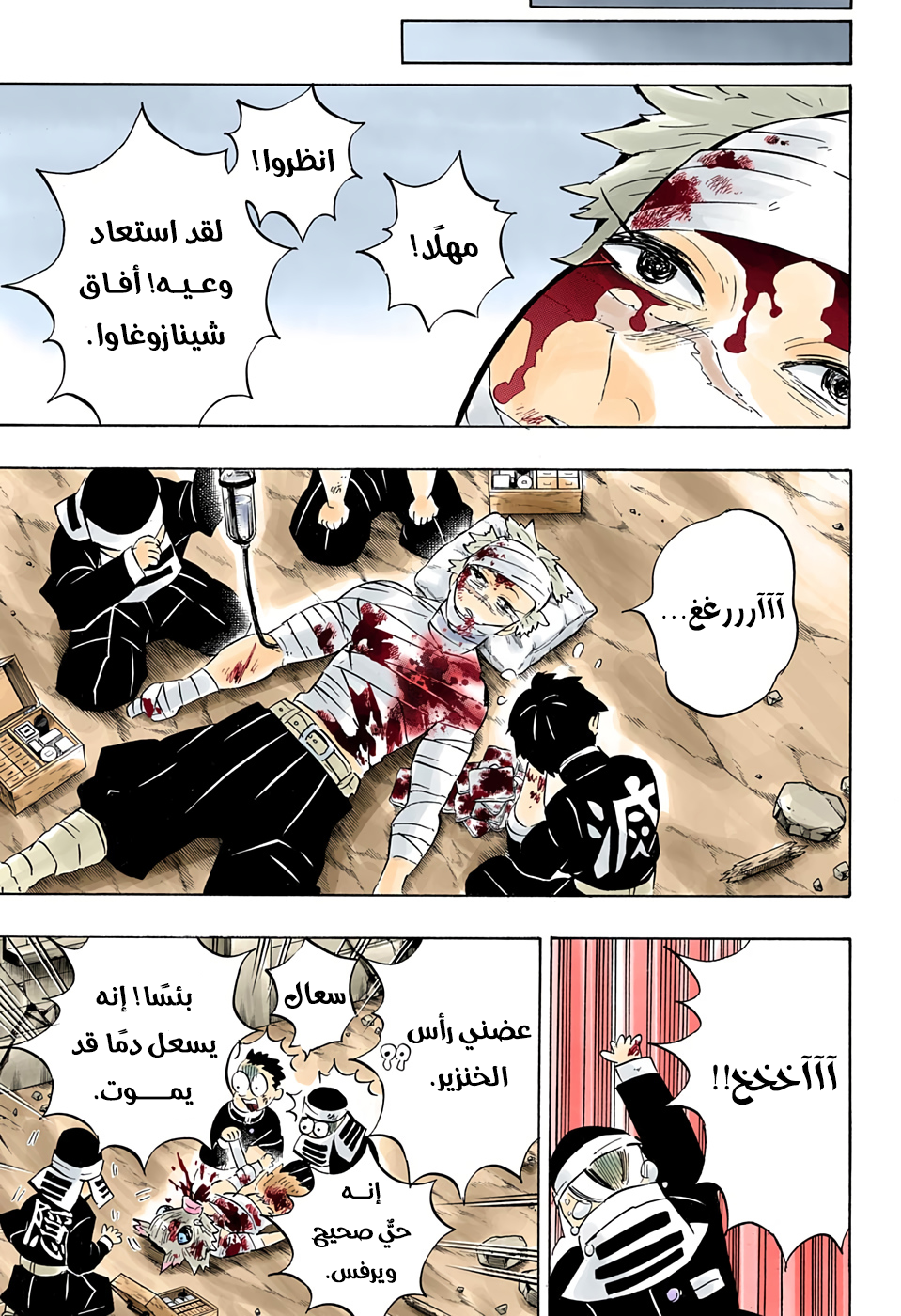 Kimetsu no Yaiba: Chapter 200 - Page 18