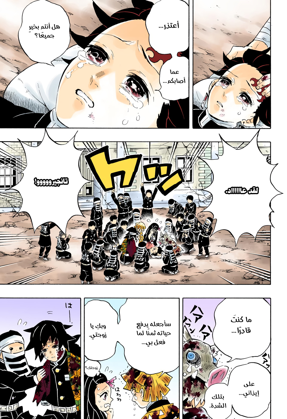 Kimetsu no Yaiba: Chapter 203 - Page 18