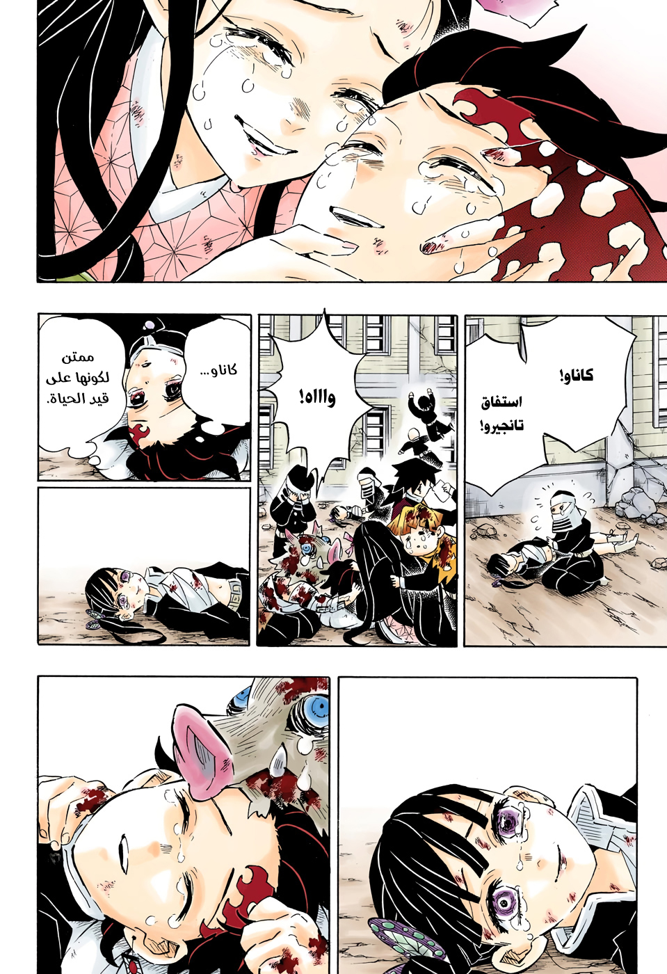 Kimetsu no Yaiba: Chapter 203 - Page 19