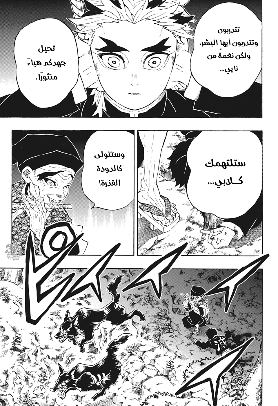 Kimetsu no Yaiba: Chapter 205,1 - Page 12