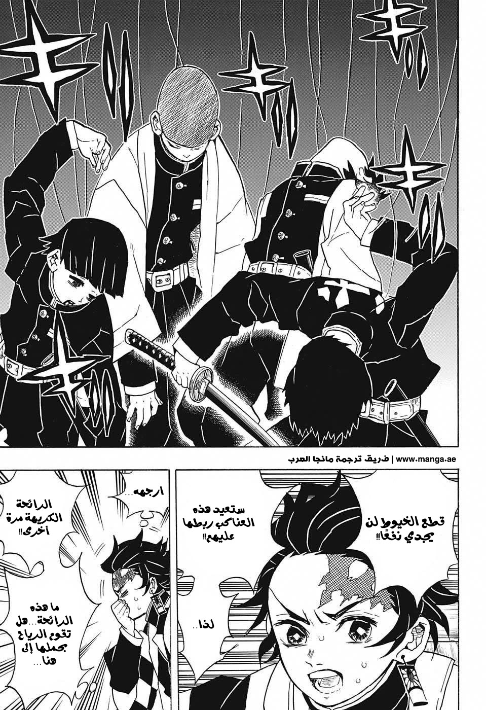 Kimetsu no Yaiba: Chapter 29 - Page 12