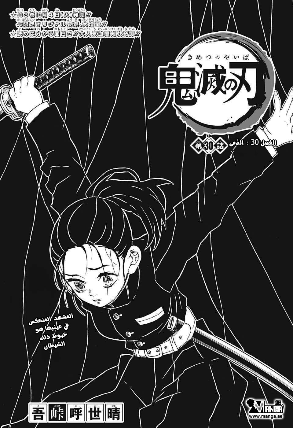 Kimetsu no Yaiba: Chapter 30 - Page 1