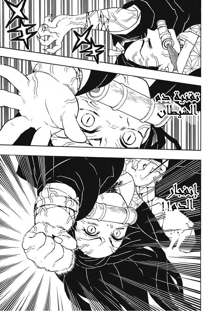 Kimetsu no Yaiba: Chapter 40 - Page 14