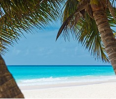 Kimetsu no Yaiba: Chapter 52.5 - Page 12