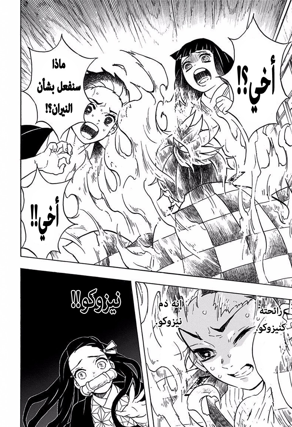 Kimetsu no Yaiba: Chapter 57 - Page 3