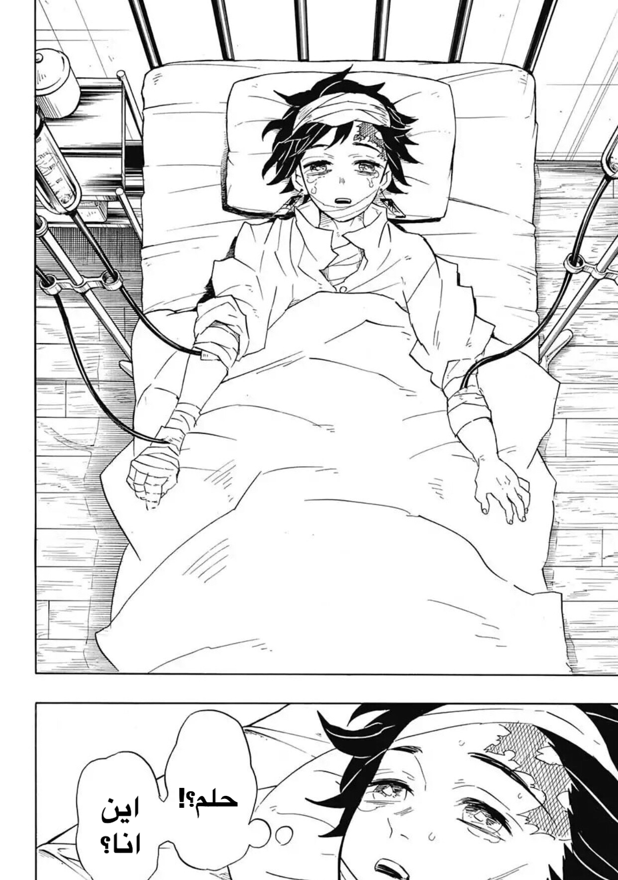 Kimetsu no Yaiba: Chapter 99 - Page 19