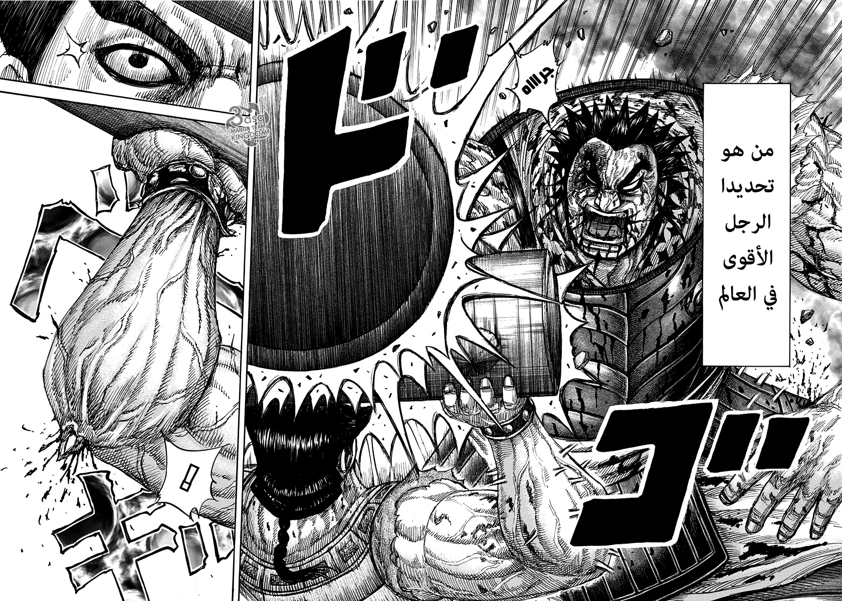 Kingdom: Chapter 313 - Page 8