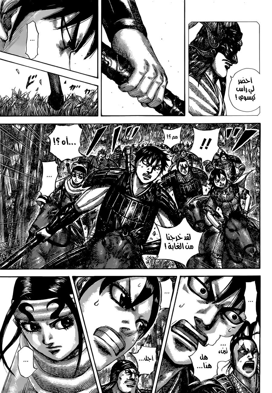 Kingdom: Chapter 529 - Page 14