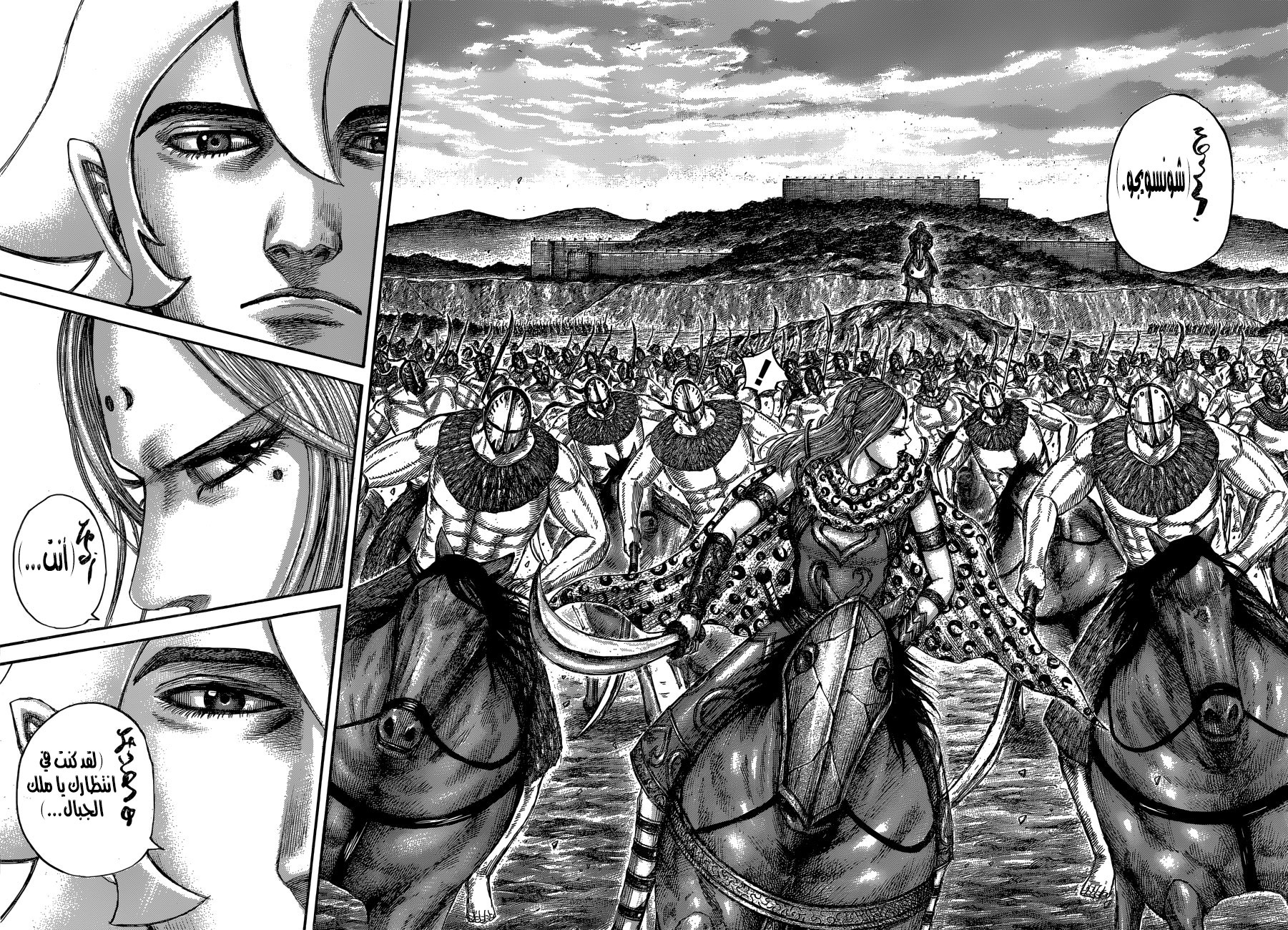 Kingdom: Chapter 565 - Page 14