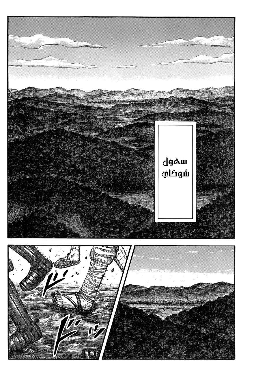 Kingdom: Chapter 575 - Page 14