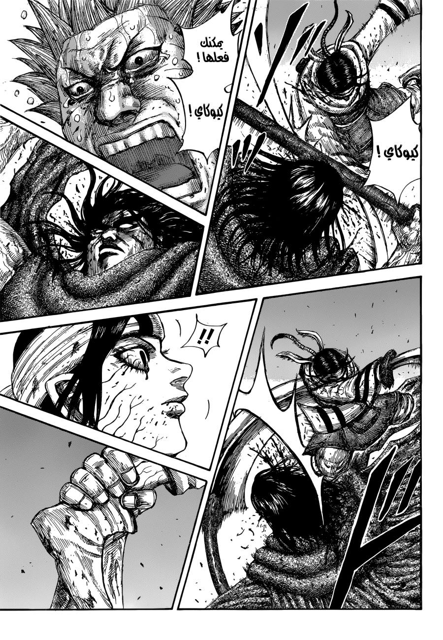 Kingdom: Chapter 621 - Page 13