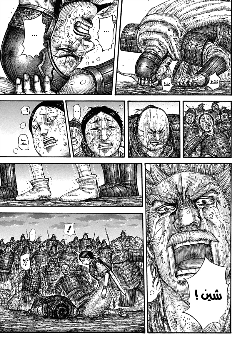 Kingdom: Chapter 629 - Page 14