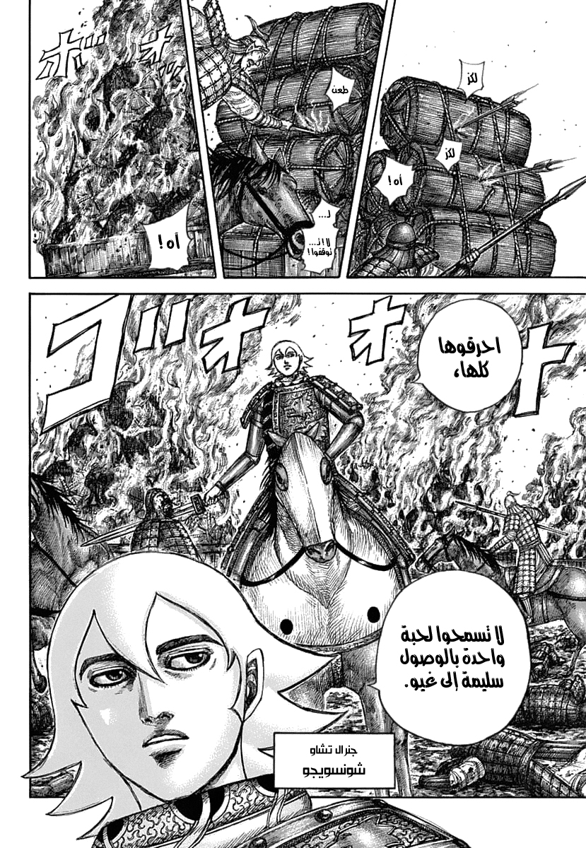 Kingdom: Chapter 636 - Page 18