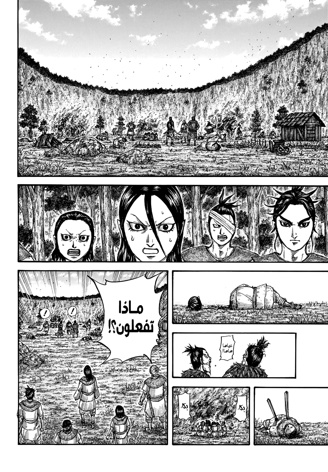 Kingdom: Chapter 733 - Page 11