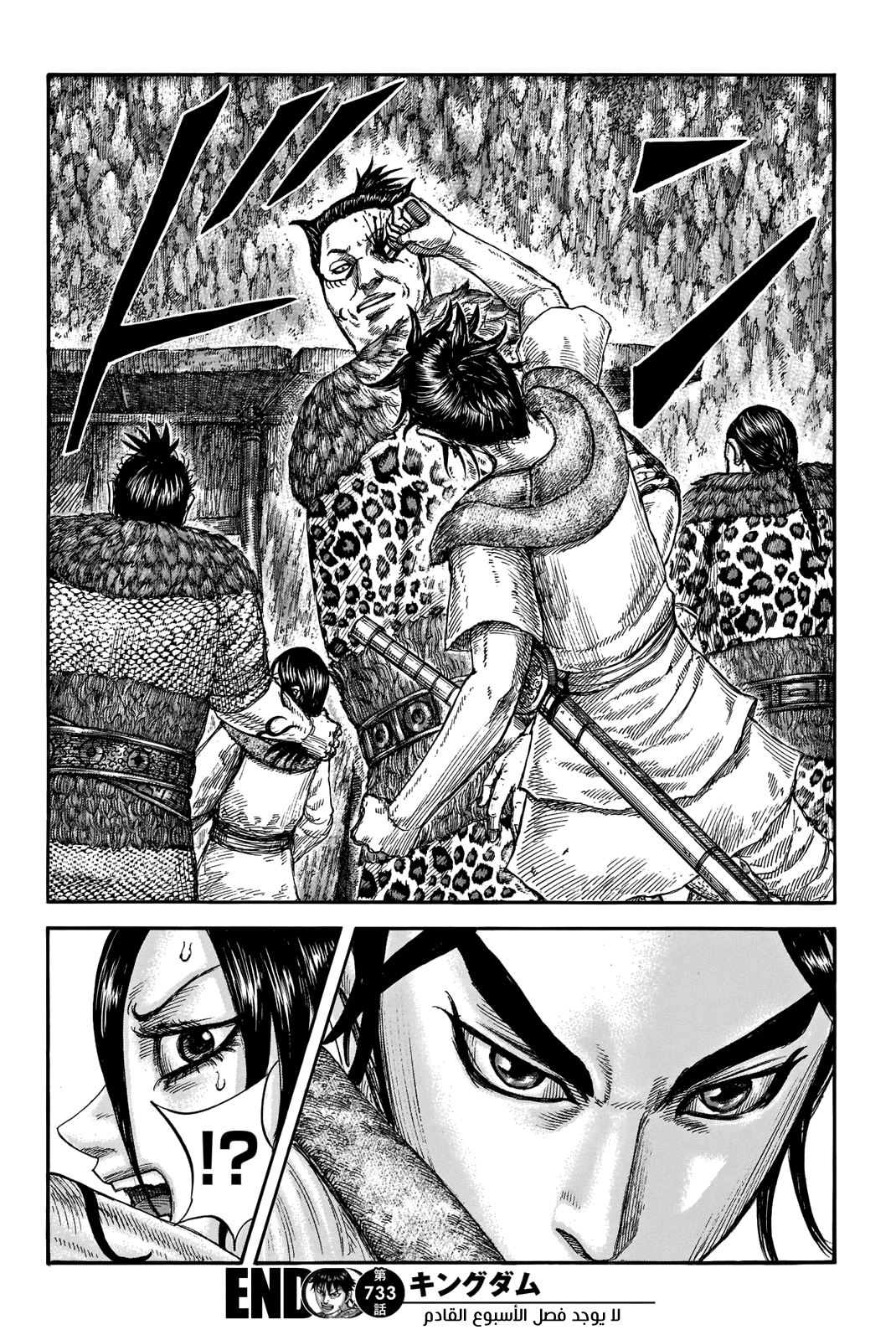 Kingdom: Chapter 733 - Page 19