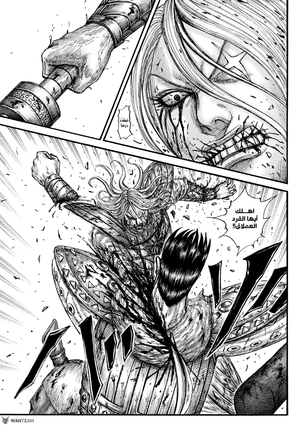 Kingdom: Chapter 787 - Page 14