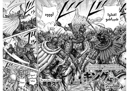 Kingdom: Chapter 790 - Page 11