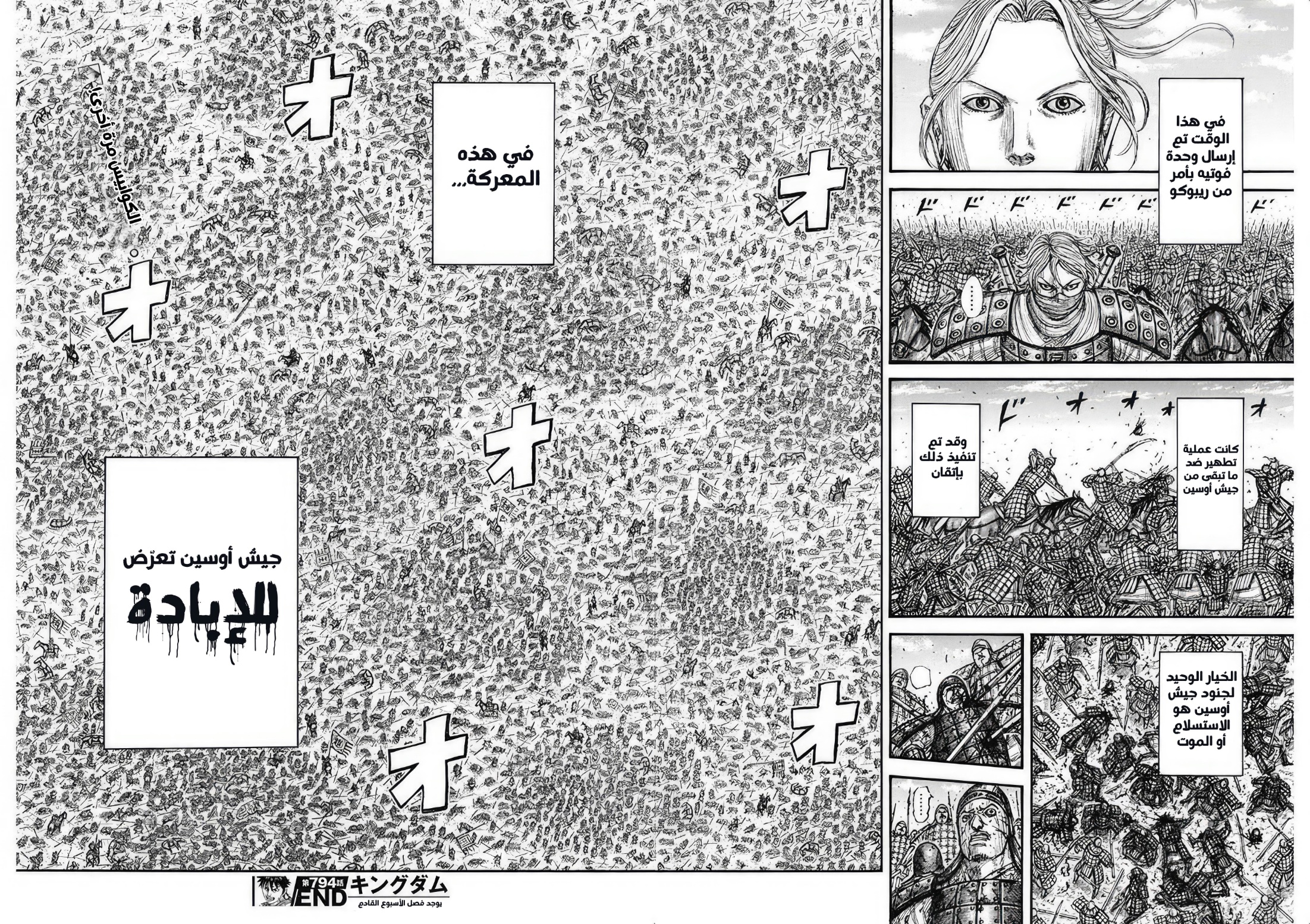 Kingdom: Chapter 794 - Page 19