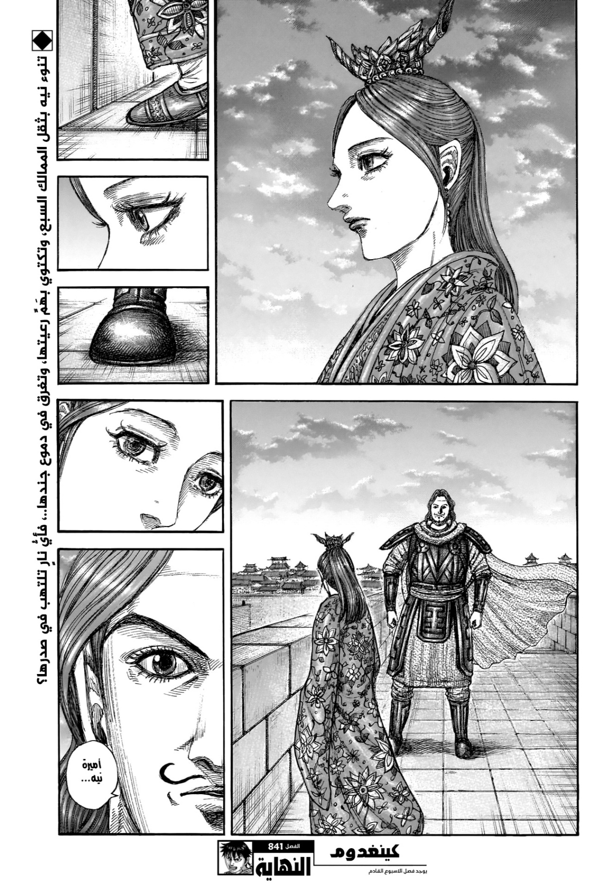 Kingdom: Chapter 841 - Page 20