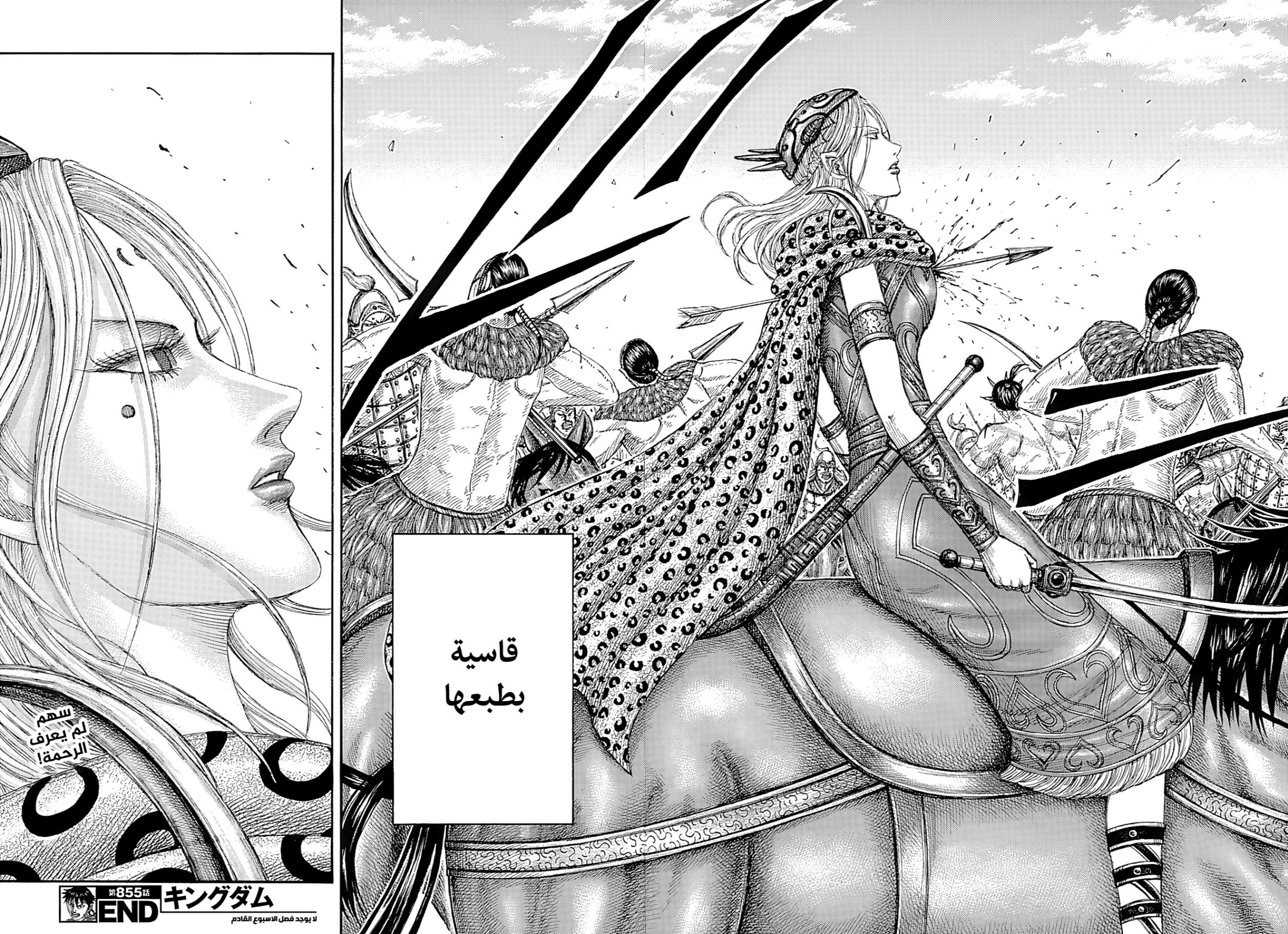 Kingdom: Chapter 855 - Page 19