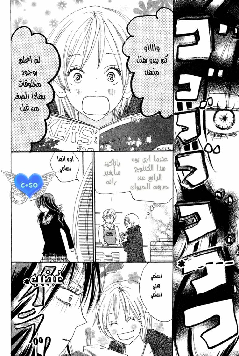 Koukou Debut: Chapter 26 - Page 12