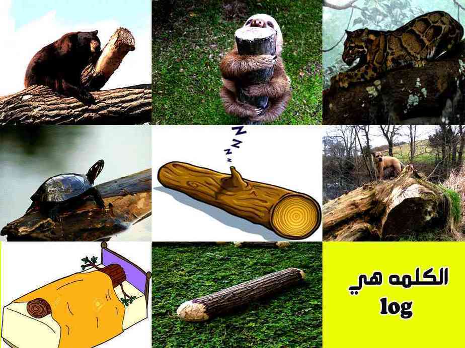 Mairunovich: Chapter 40 - Page 26