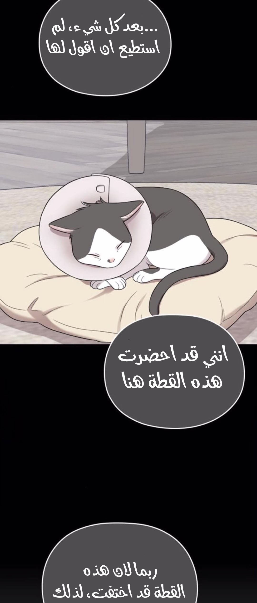 Marry My Husband: Chapter 46 - Page 11