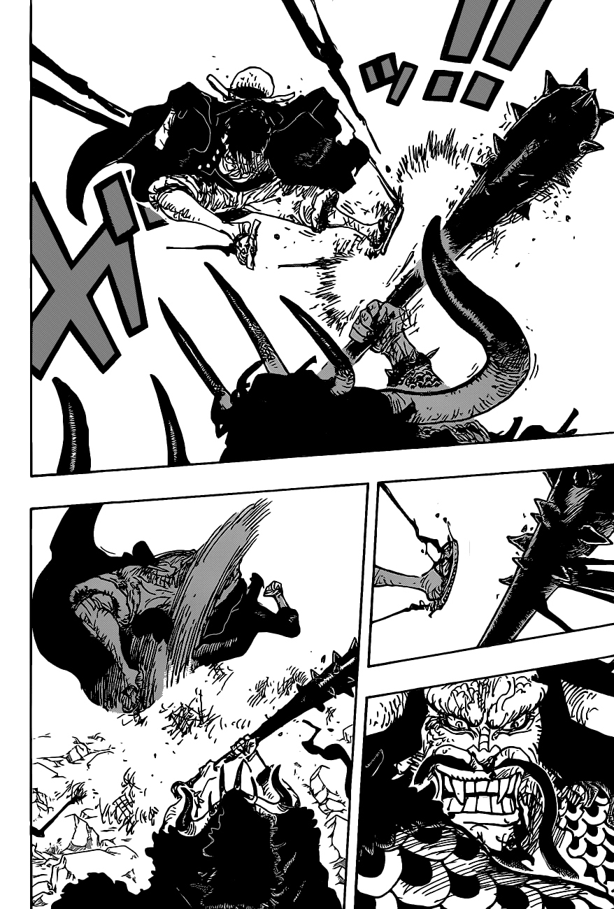 One Piece: Chapter 1010 - Page 14