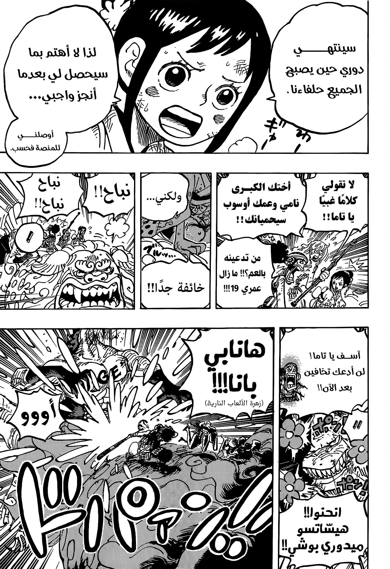 One Piece: Chapter 1011 - Page 13