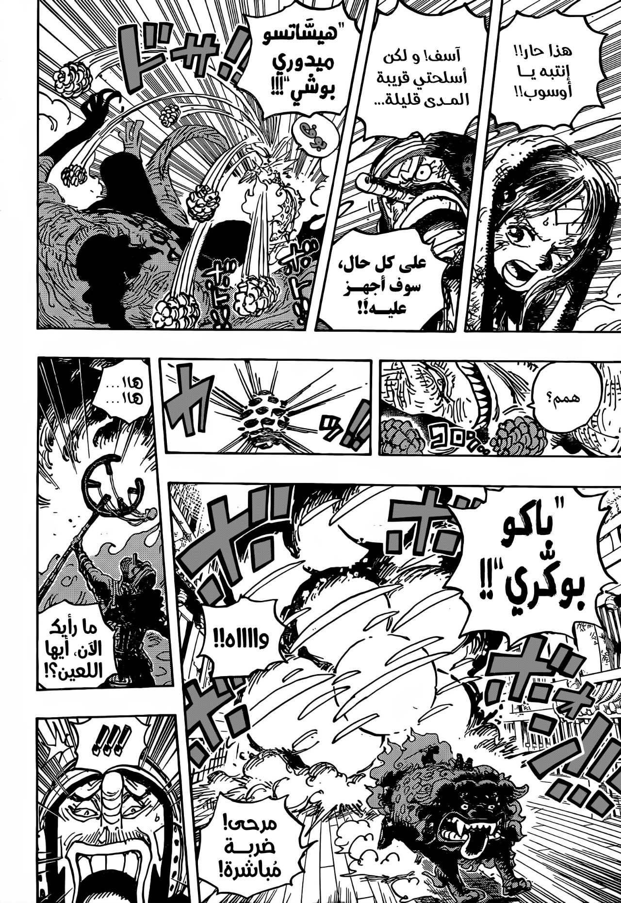 One Piece: Chapter 1011 - Page 14