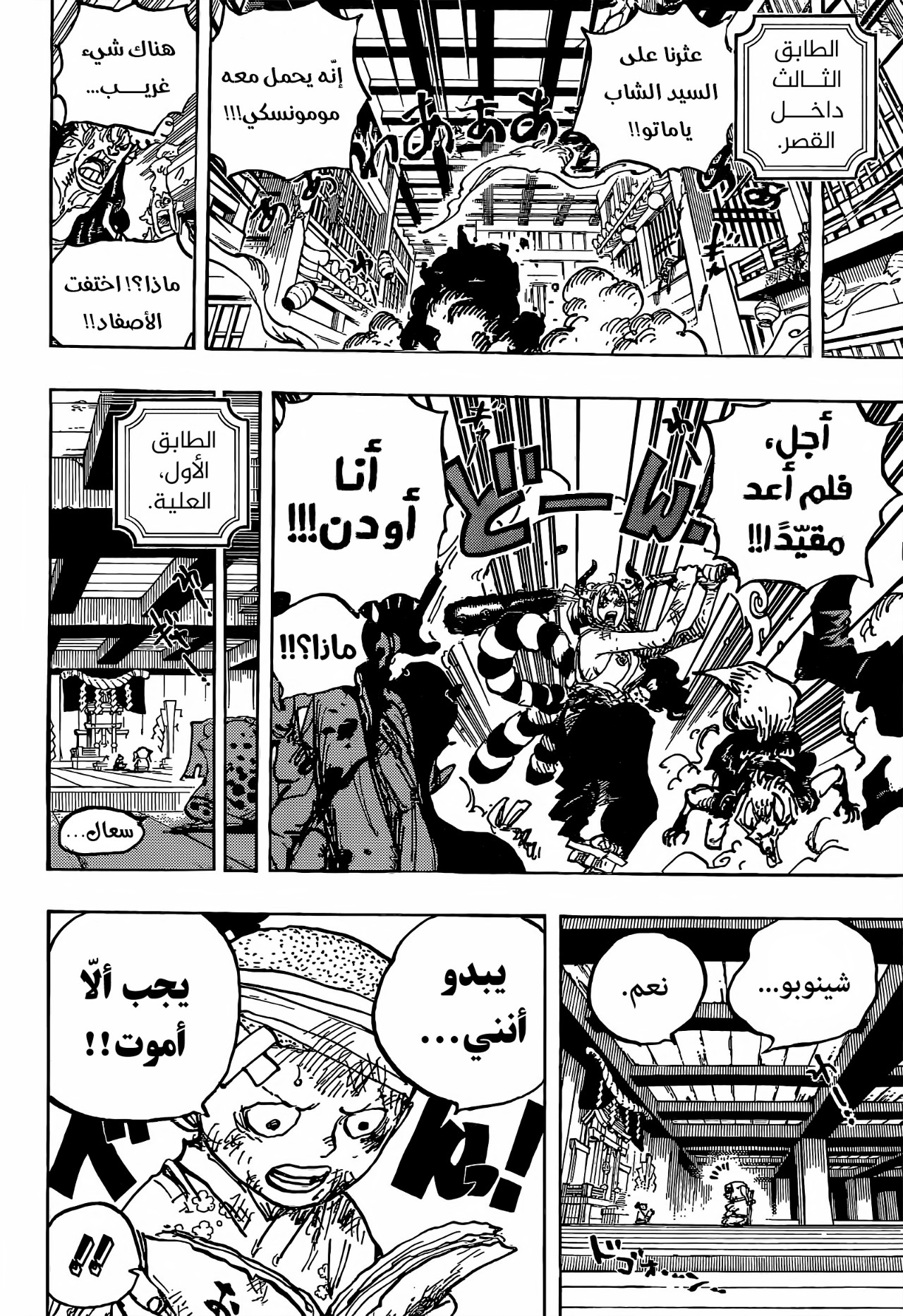 One Piece: Chapter 1014 - Page 5