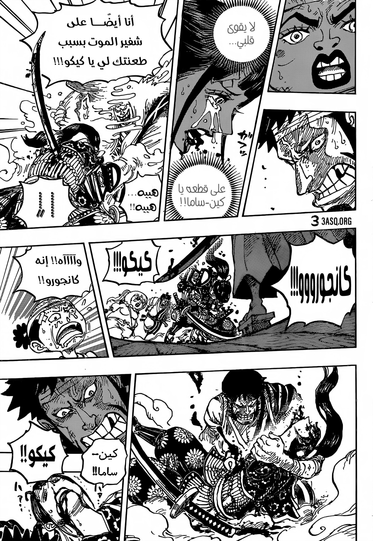 One Piece: Chapter 1014 - Page 13