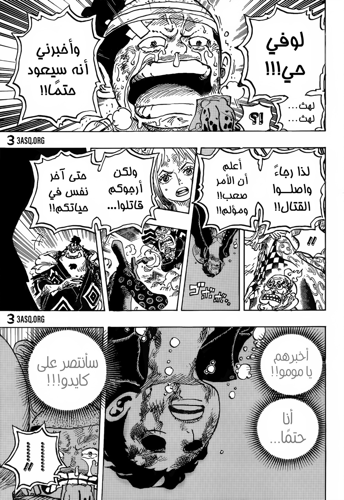 One Piece: Chapter 1015 - Page 13