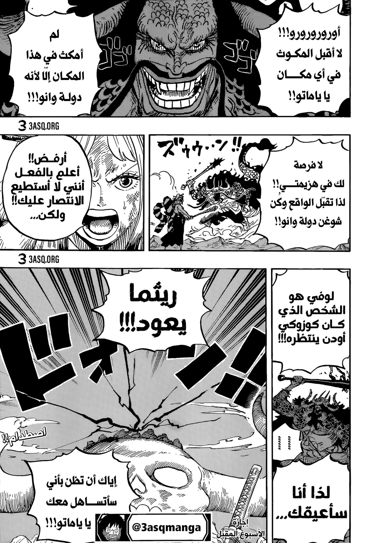 One Piece: Chapter 1016 - Page 15