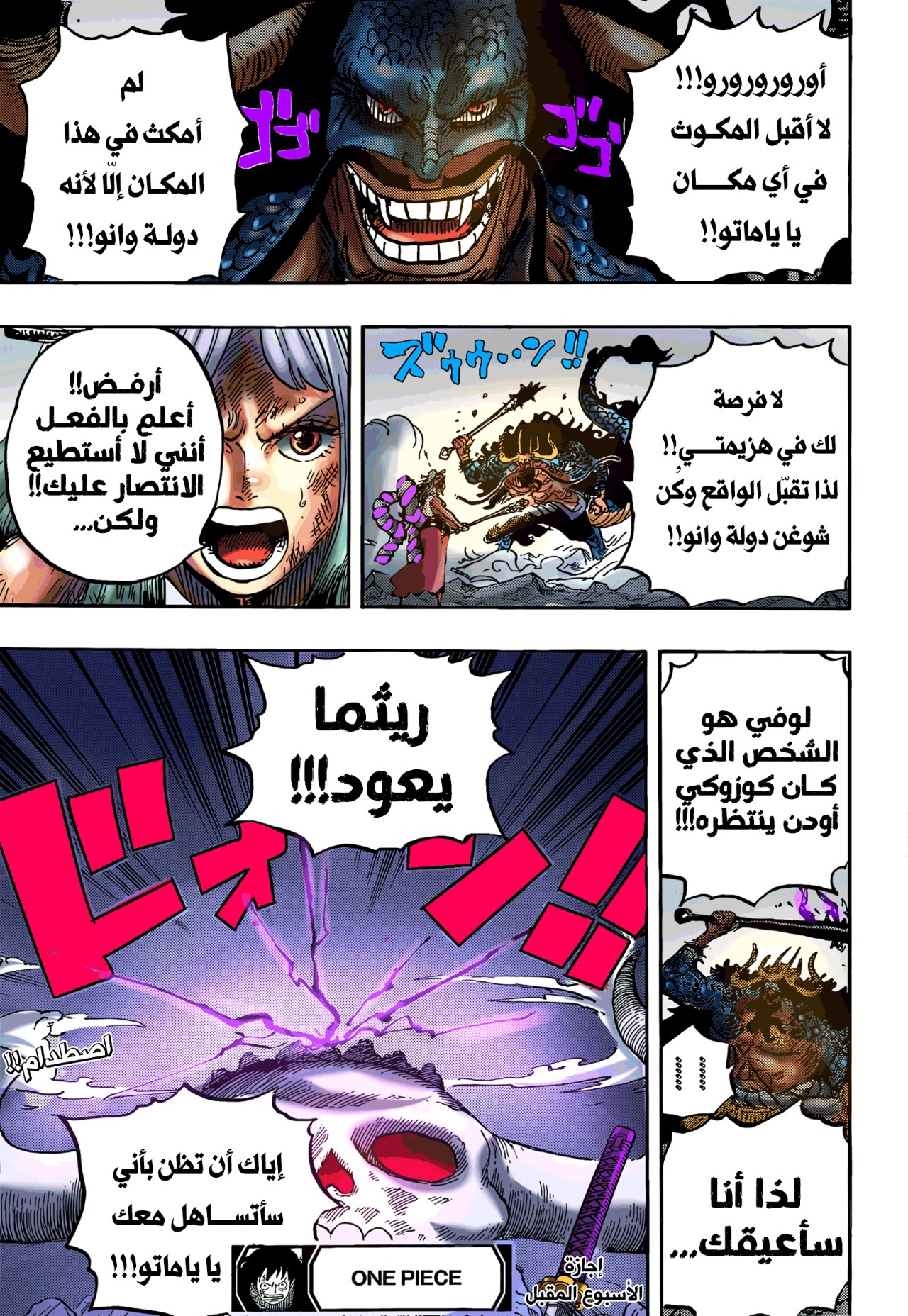 One Piece: Chapter 1016 - Page 17